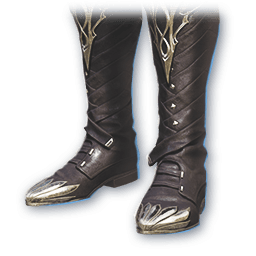 Skilled Professional (Skin: Boots) (Bound)